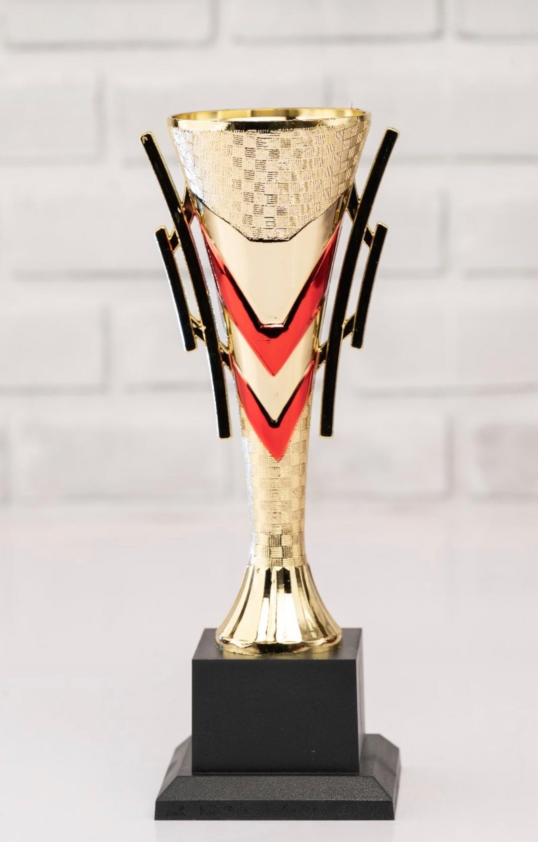 Engraved Trophies & Awards - Image 4